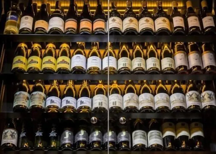 カノニキーザ 22 4*